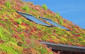 Garway Hill living roof systems